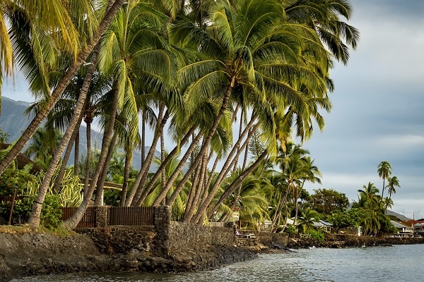 Kona