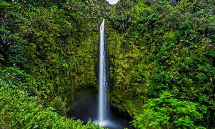 Breathtaking Waterfalls