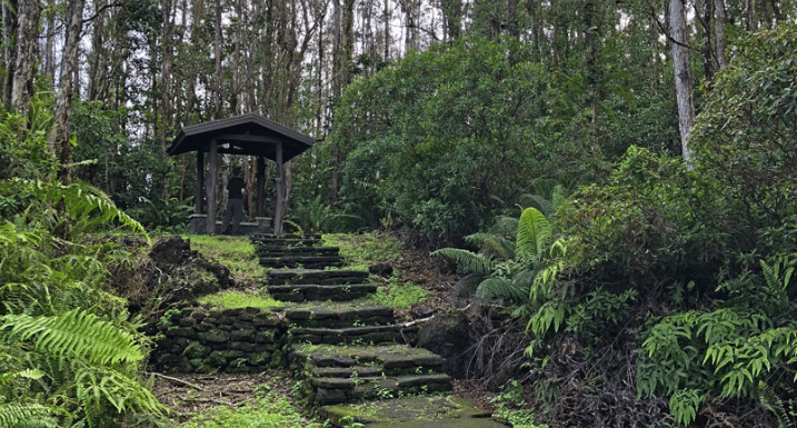 Lava Tree State Park