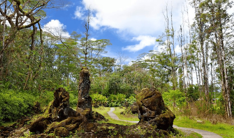 Lava Tree State Park