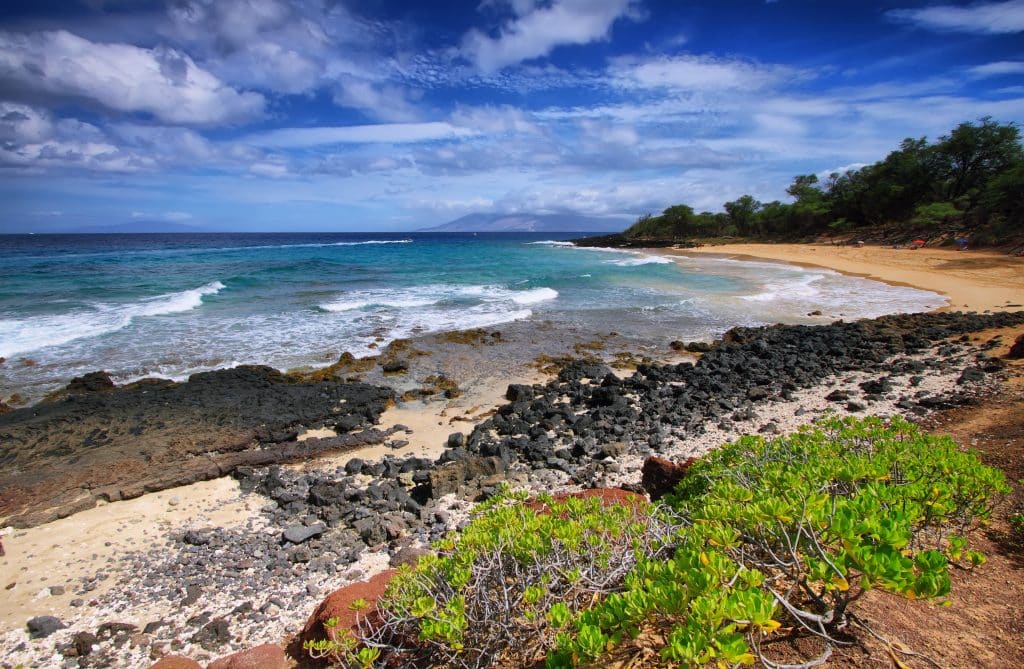 Kona Coast State Park