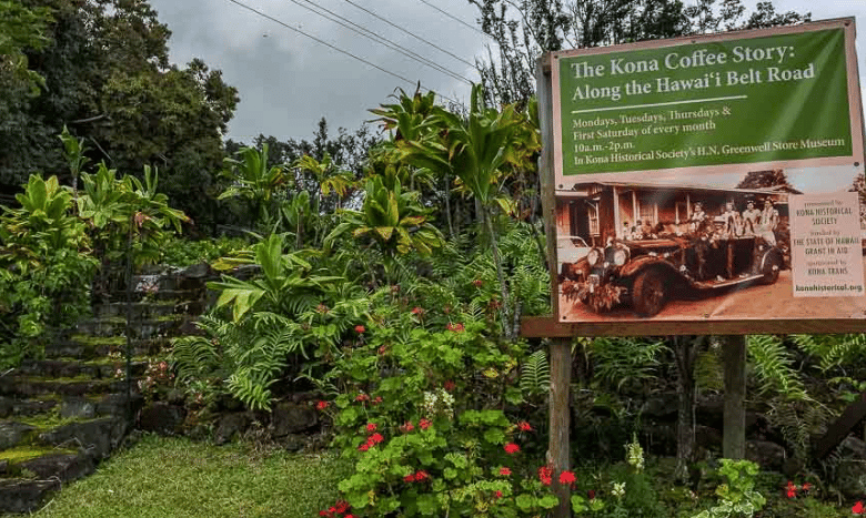 Budget-Friendly Ideas