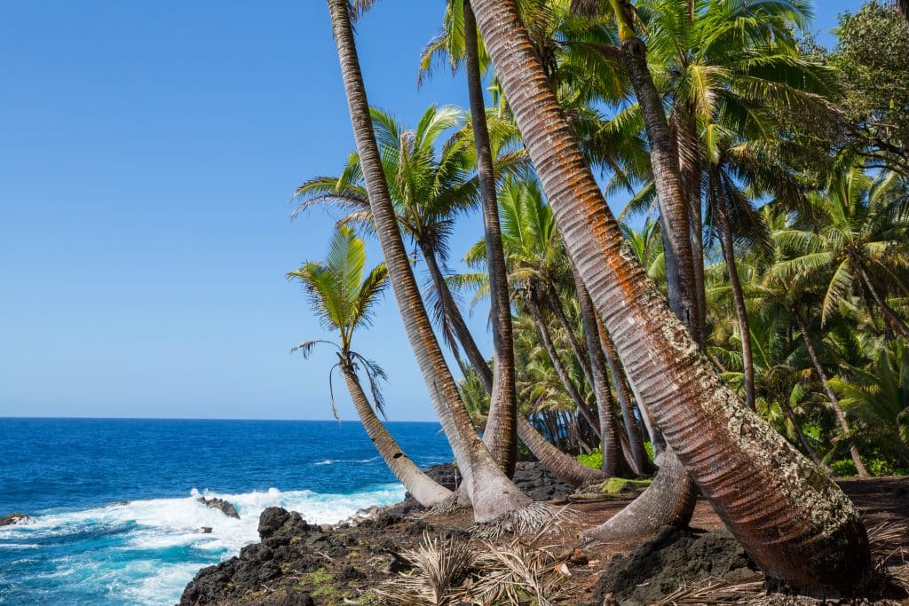 Hawaii's Big Island