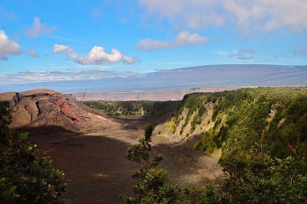 Wildlife Photography On The Island