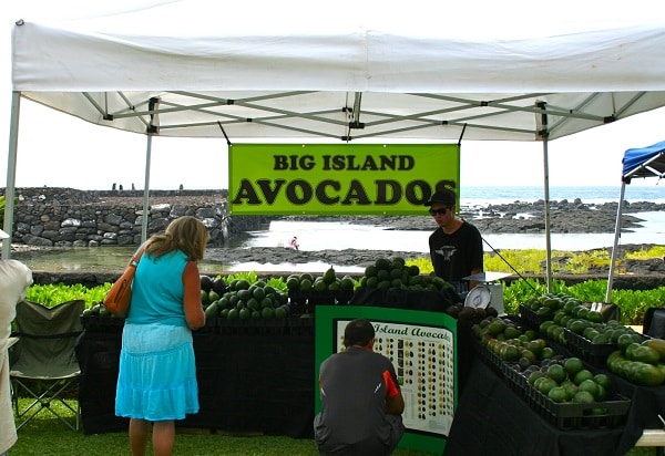 Local Food Festivals