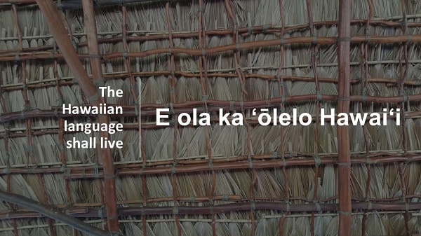 Hilo's Cultural Heritage