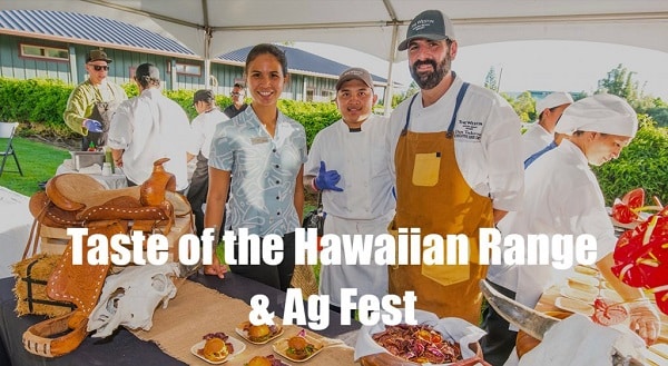 Local Food Festivals