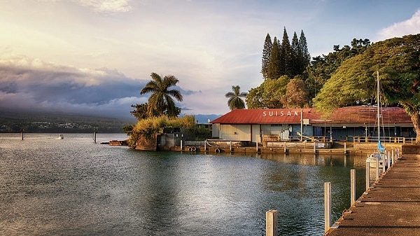 Hilo's Culinary Delights