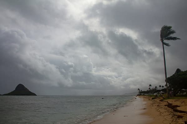 Hawaii's Rainiest City