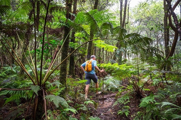 Climate Zones Of Hawaii's Big Island