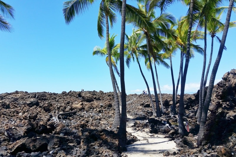 Hiking Trails On The West Side Of Kona