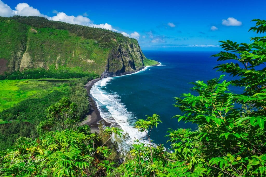 Which Big Island District is Your Perfect Match?