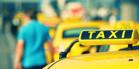 Your Go-To Guide For Public Transportation On The Big Island