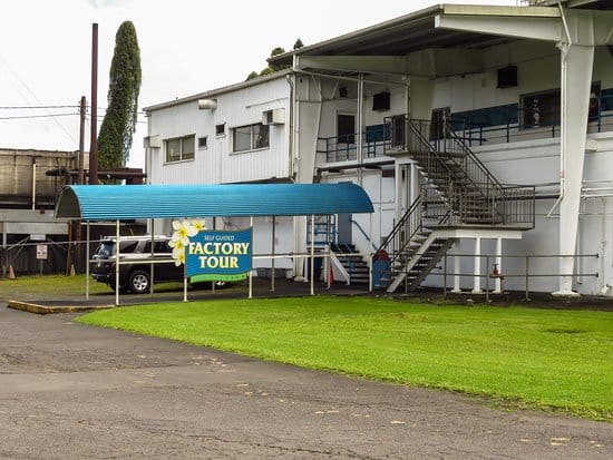 Big Island's Macadamia Nut Farms: A Tour Guide