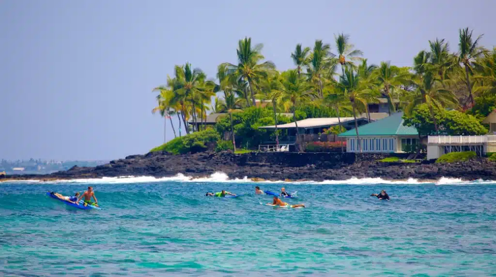 Complete Guide To Kona's Coral Reefs