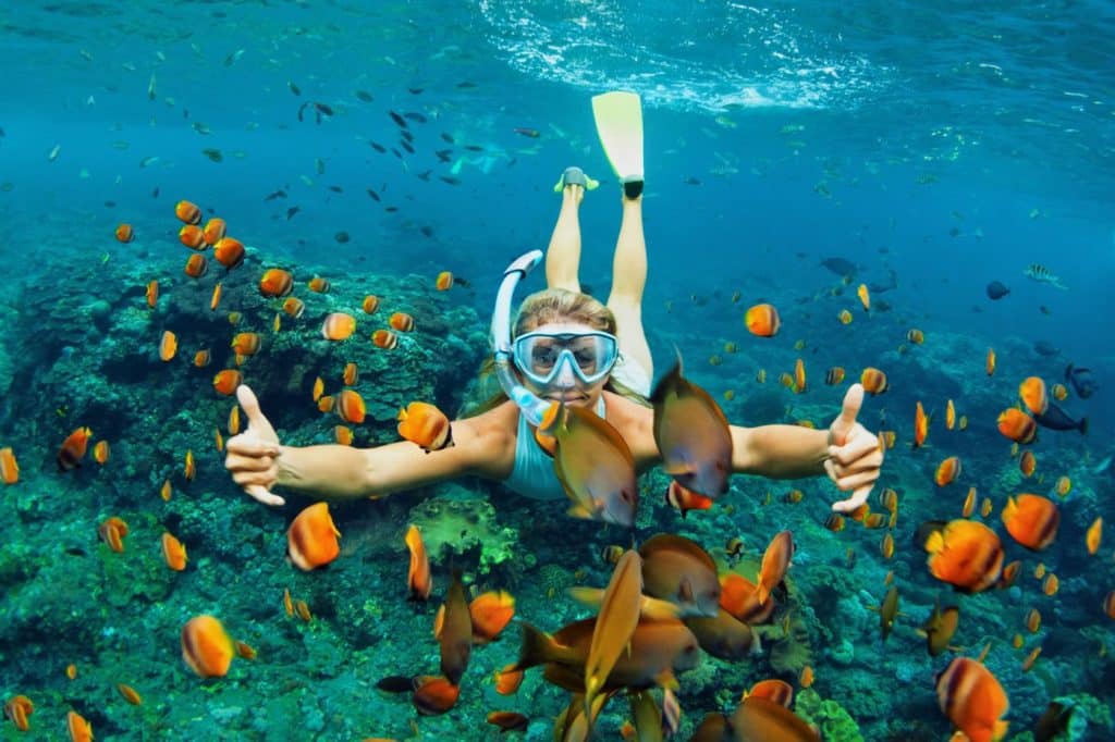 Complete Guide To Kona's Coral Reefs