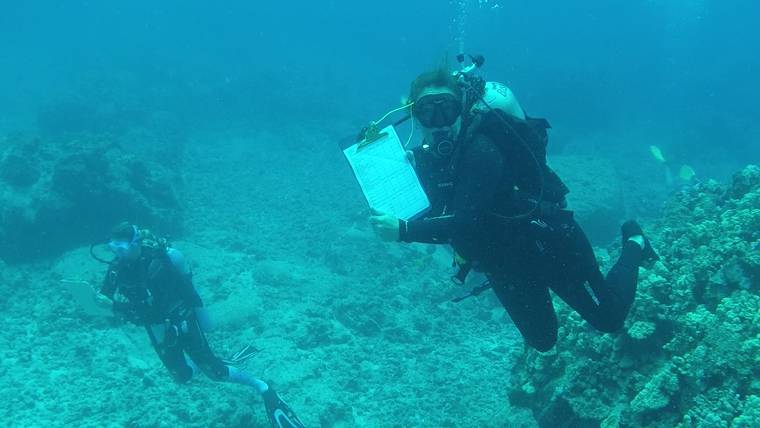 Complete Guide To Kona's Coral Reefs