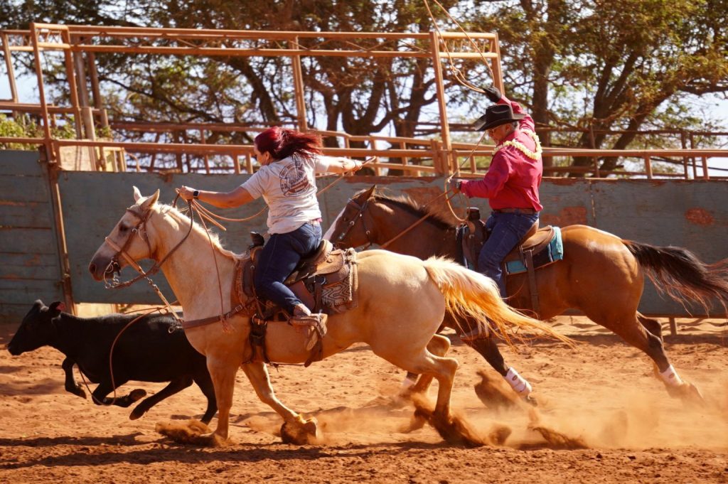 Kona's Rodeo Culture: Paniolo Traditions And Modern-Day Cowboys