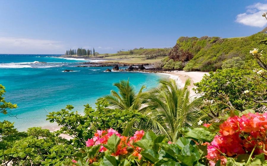 The Best Time of Year to Visit Hawaii Explained