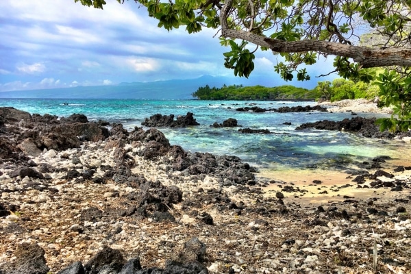 Shore Fishing On The Big Island