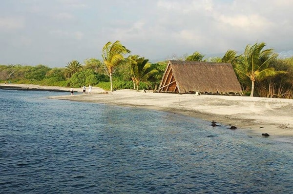 Shore Fishing On The Big Island