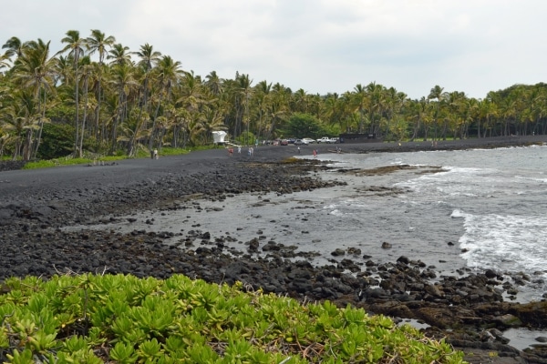 Shore Fishing On The Big Island