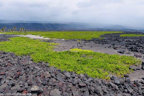 Camping Sites on the Big Island