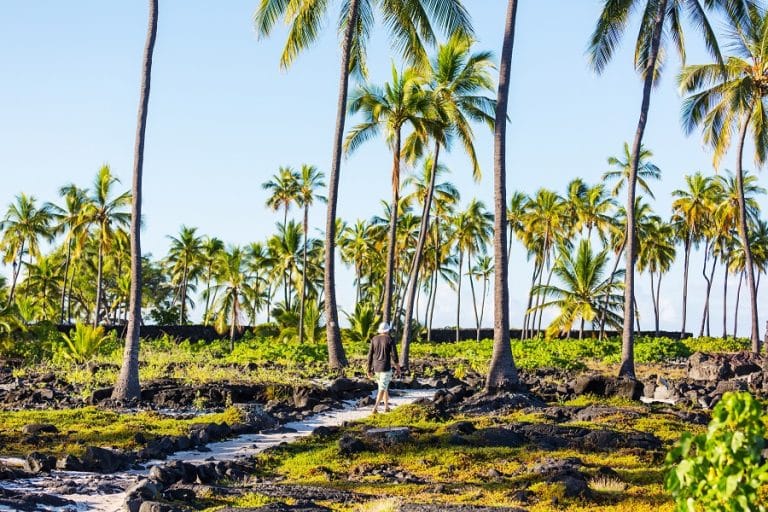 Hike In Hawaii