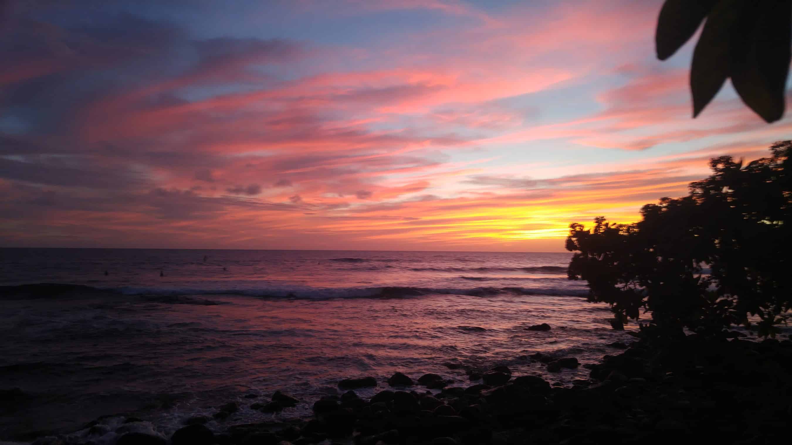 Sunset over the ocean with pink and orange clouds, rocky shoreline in the foreground and silhouetted trees on the right.