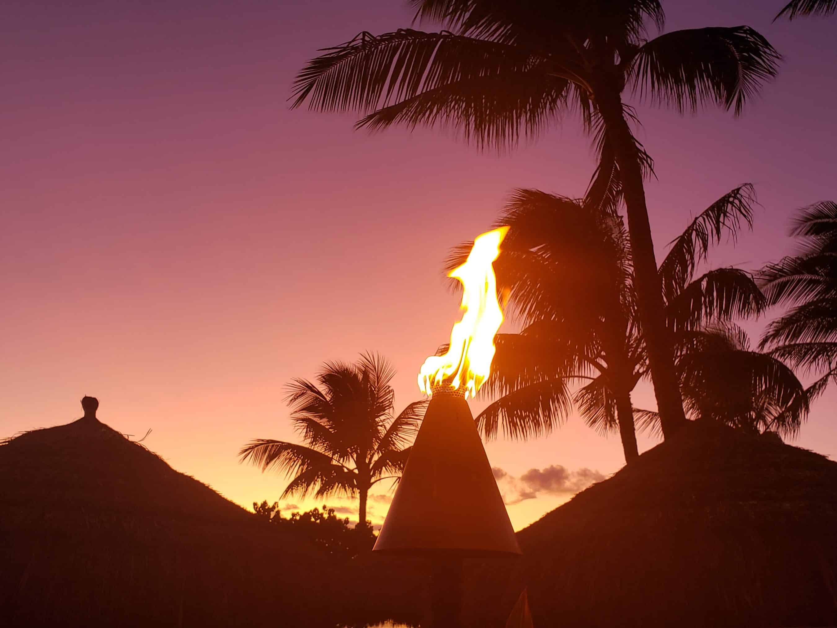 Tiki torch burning with a bright flame at sunset, silhouetted palm trees in a tropical yard.