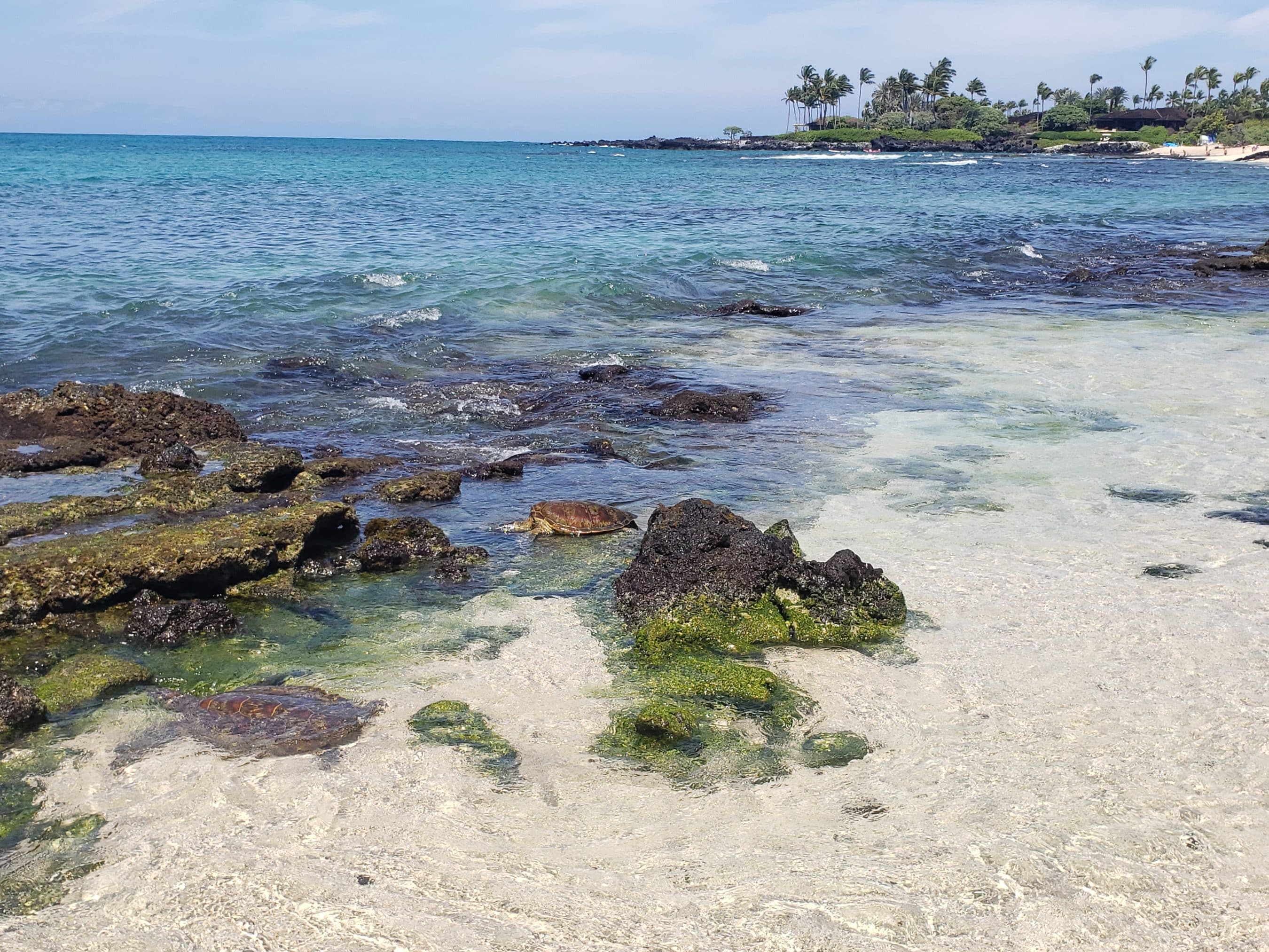 Clear tropical beach with rocky foreground, turquoise water, and a palm-lined coastline in the distance.