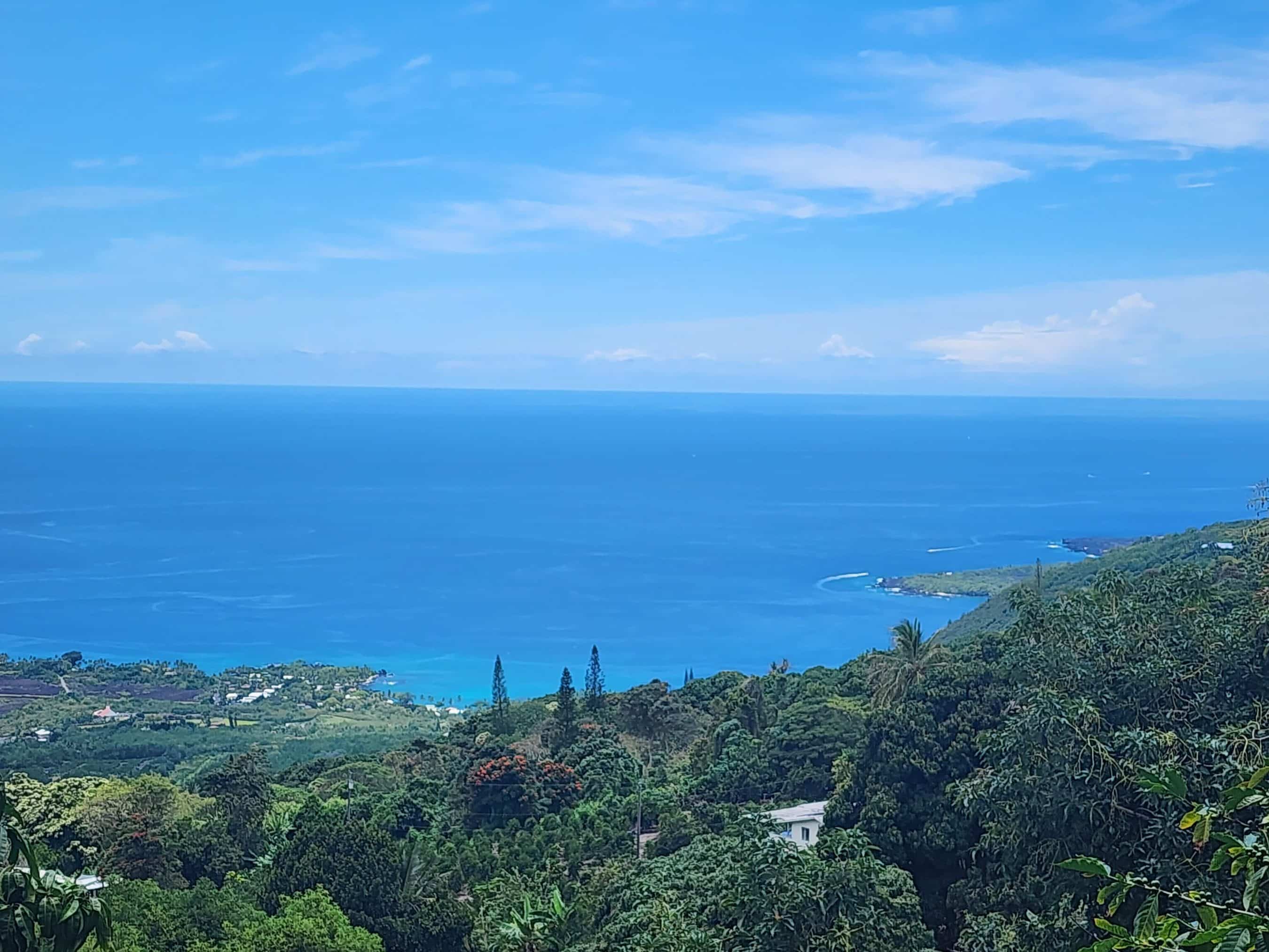 Coastline view with the deep blue sea and a green hillside dotted with trees and houses under a clear sky.