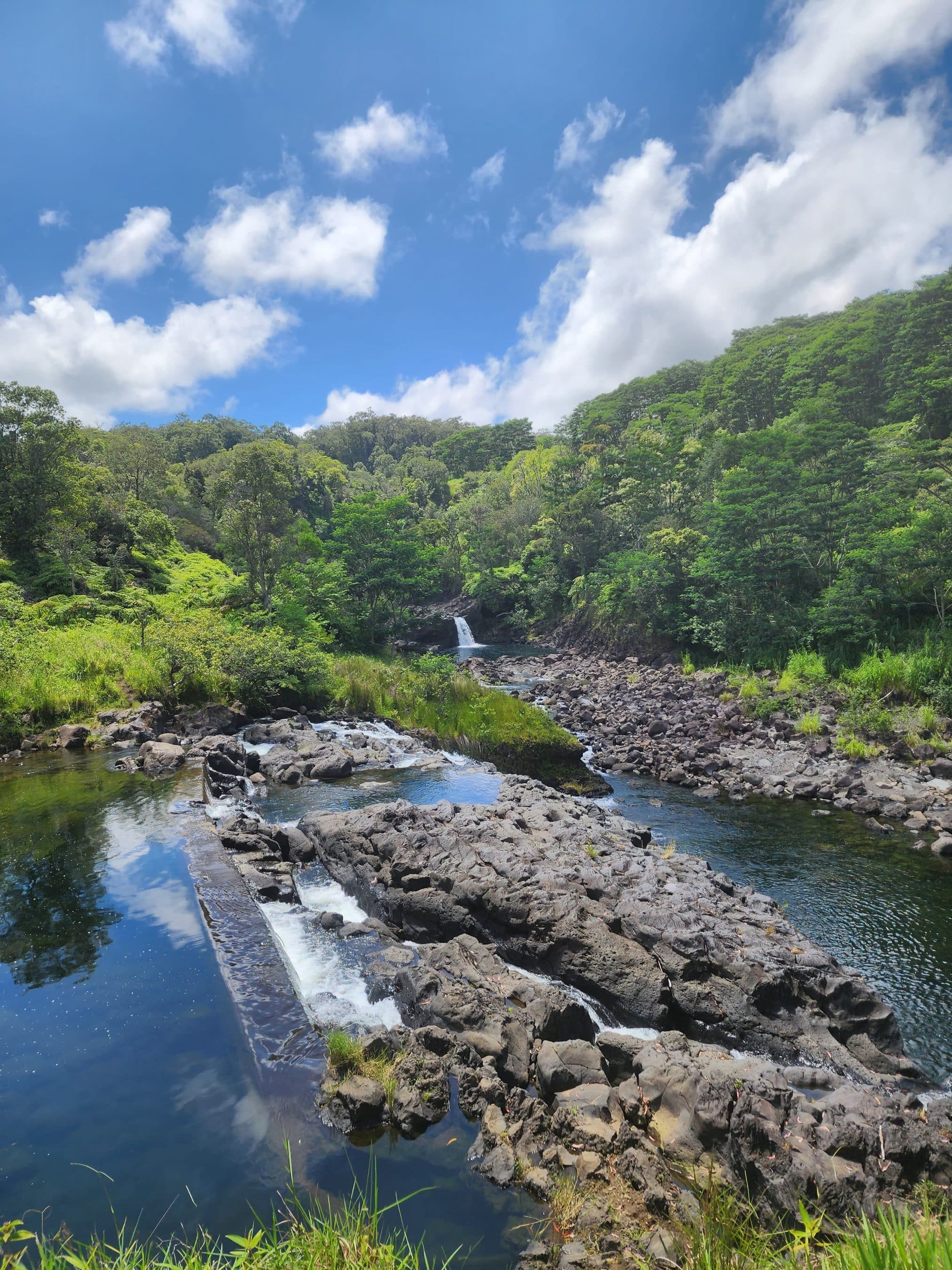 River flows through a rocky riverbed surrounded by dense green forest under a blue sky with white clouds; a small waterfall in the distance.