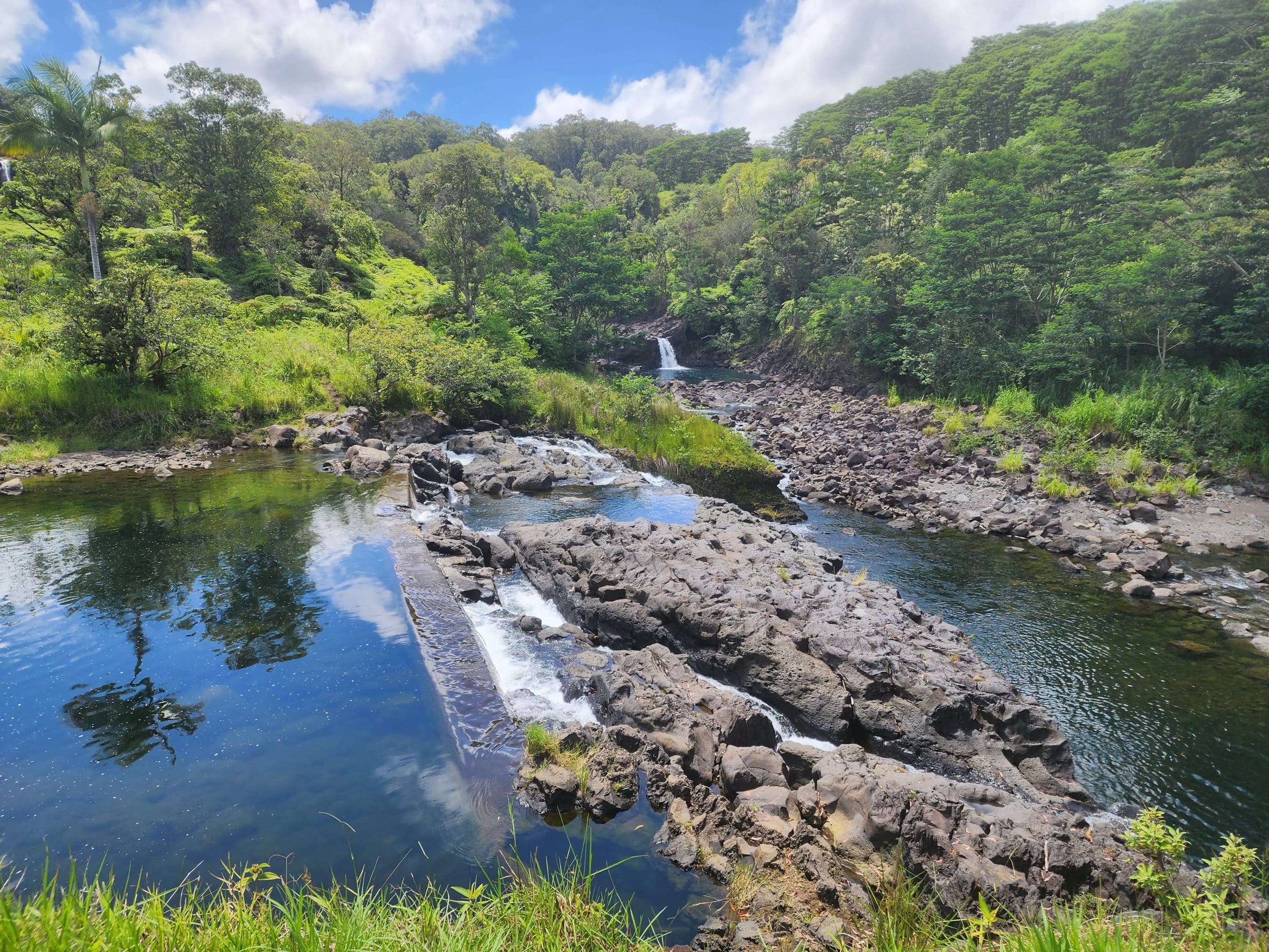 Rocky riverbank with a small waterfall surrounded by dense tropical forest under a bright blue sky.