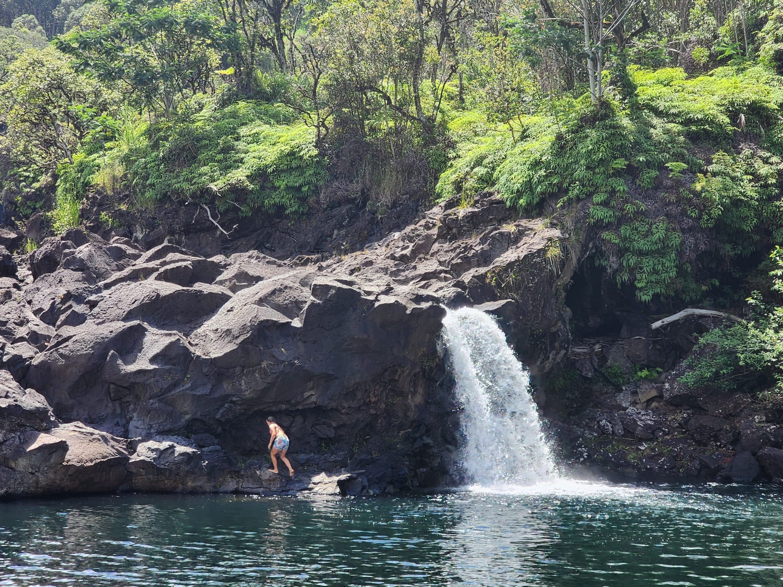 Person in swim trunks stands on dark rocks beside a small waterfall flowing into a pool, surrounded by dense green foliage.