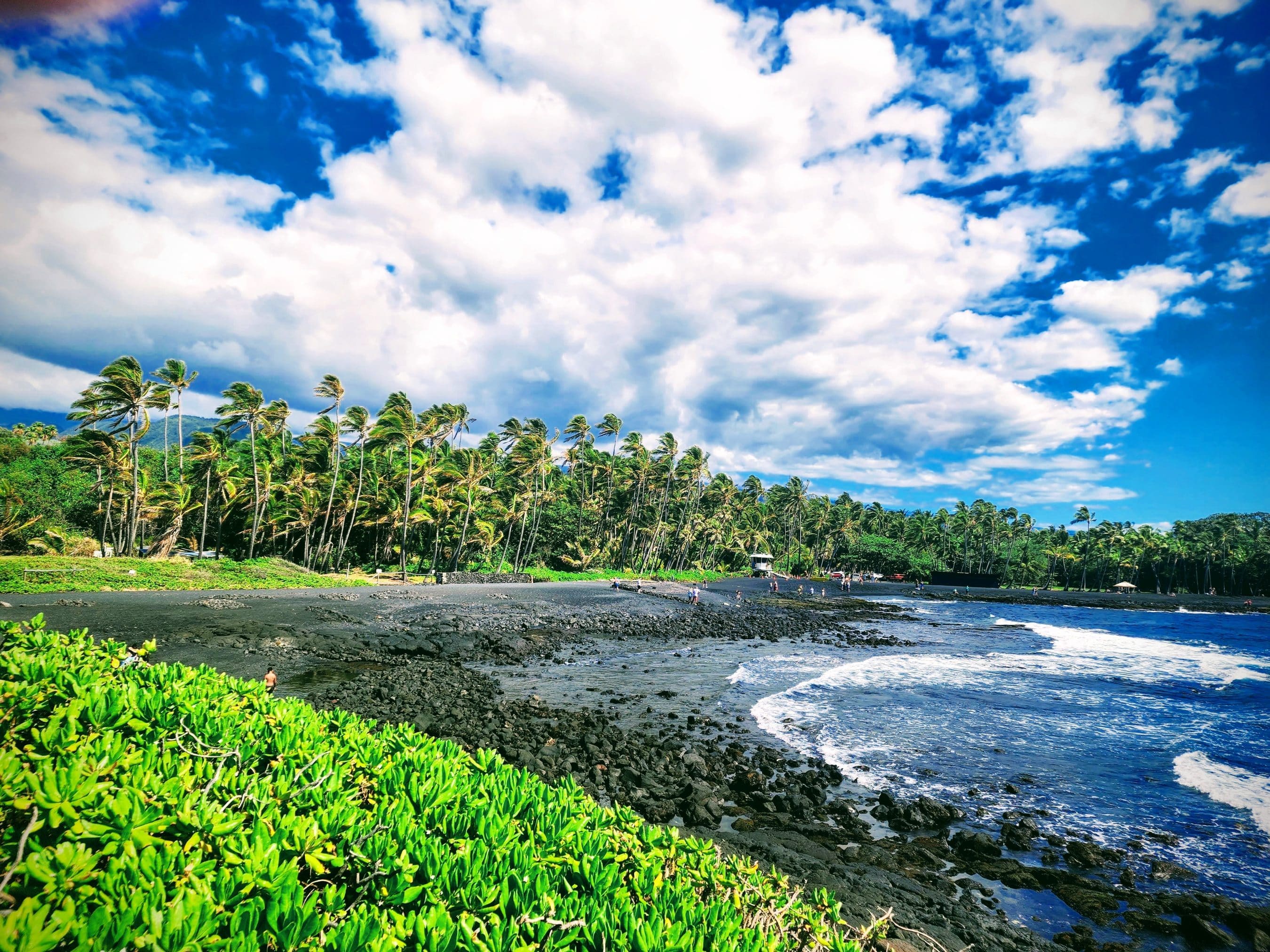 Tropical beach scene with a rocky shoreline, row of tall palm trees, and a bright blue sky with white clouds; people near the water's edge.