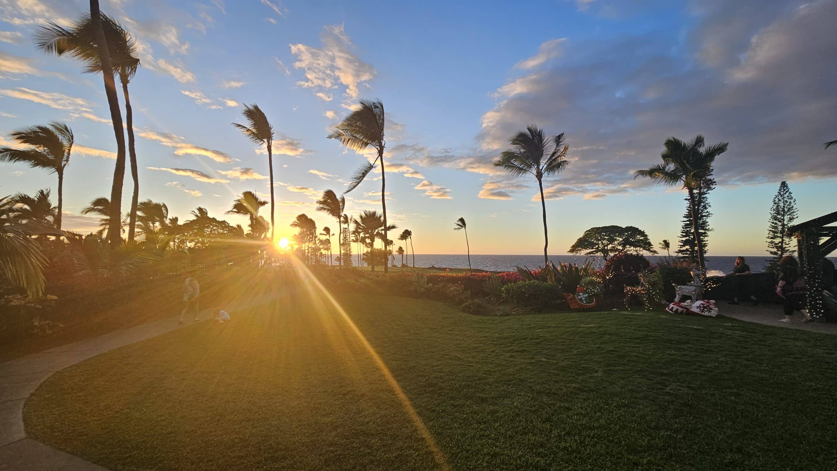 Sunset over the ocean behind tall palm trees, with a grassy garden in the foreground and a few people relaxing to the right.