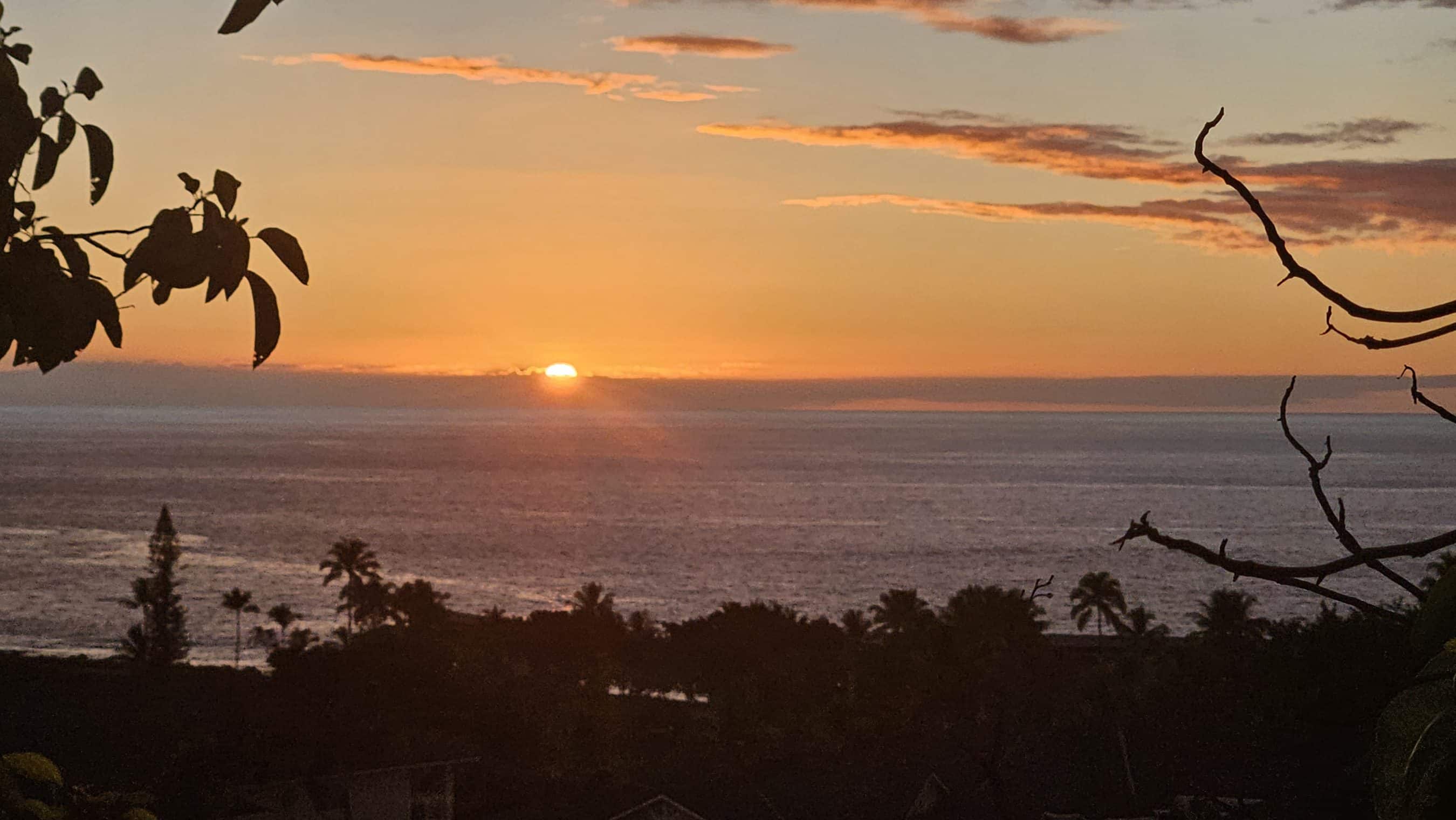 Sunset over the ocean with an orange sky and dark silhouettes of palm trees and branches in the foreground.