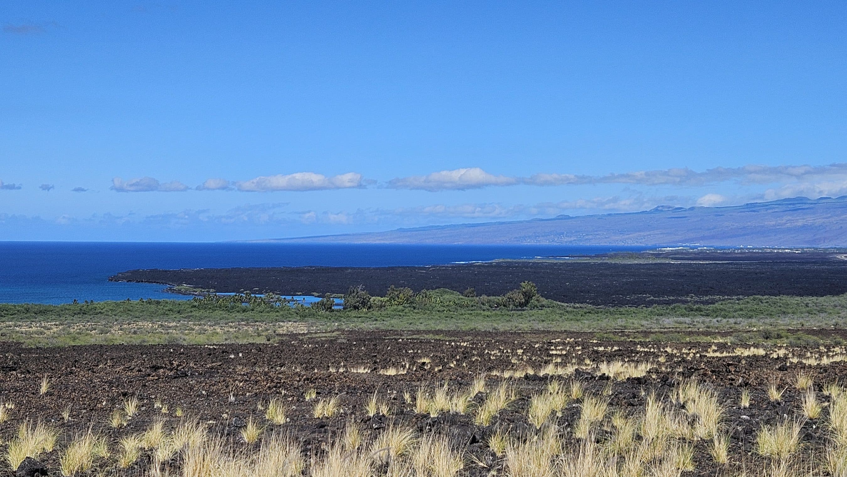 Coastal lava field with dark rocky ground and tufts of dry grass, blue ocean to the left, and distant hills on the horizon.