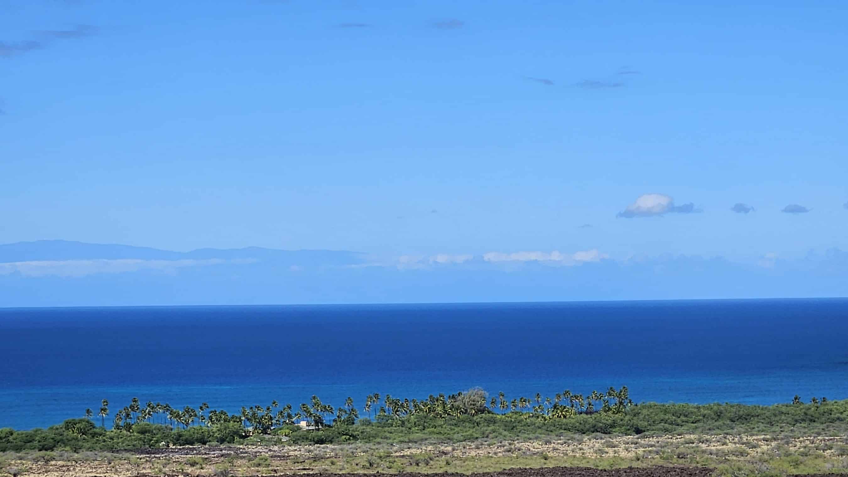 Coastal scene with palm trees along a grassy shoreline, calm sea, and a bright blue sky with a few clouds.