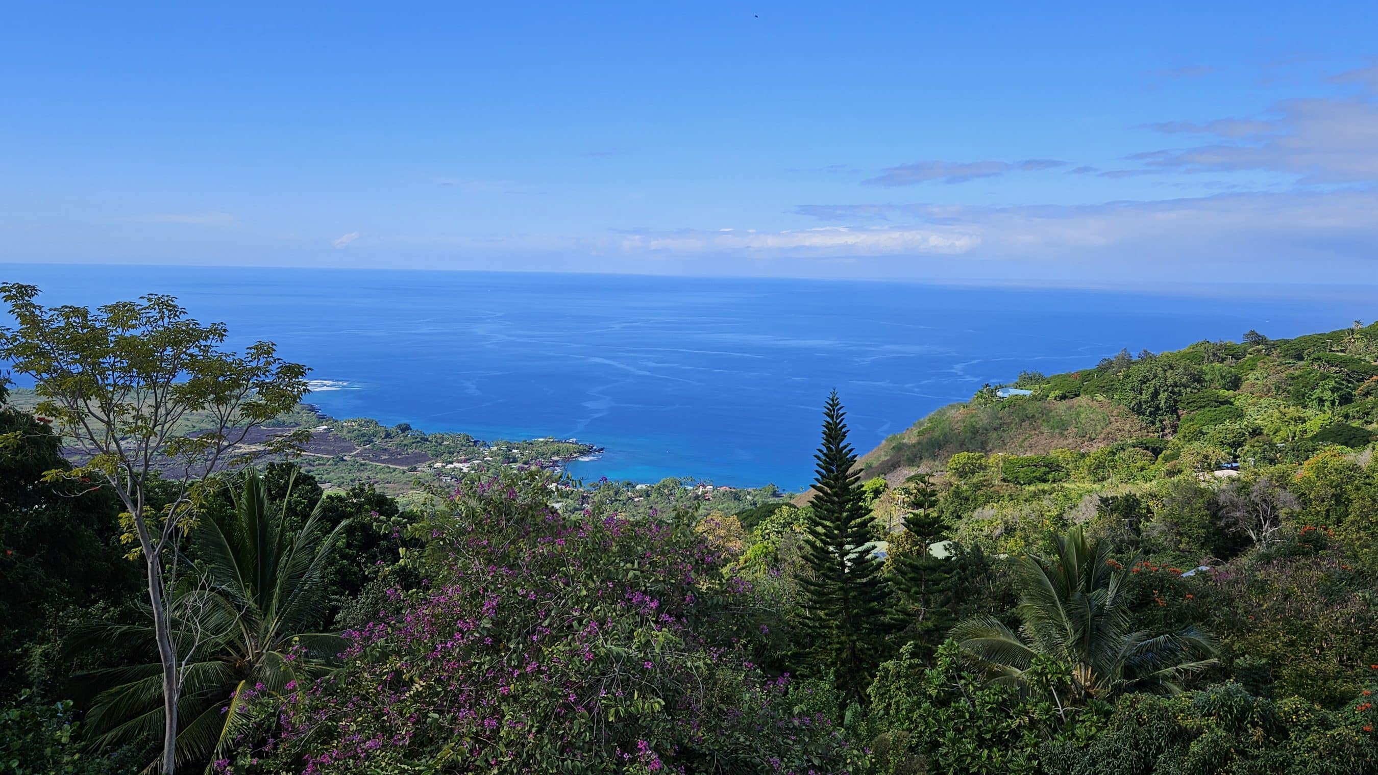 Lush tropical hillside garden with purple flowers overlooking a calm blue sea and distant horizon.