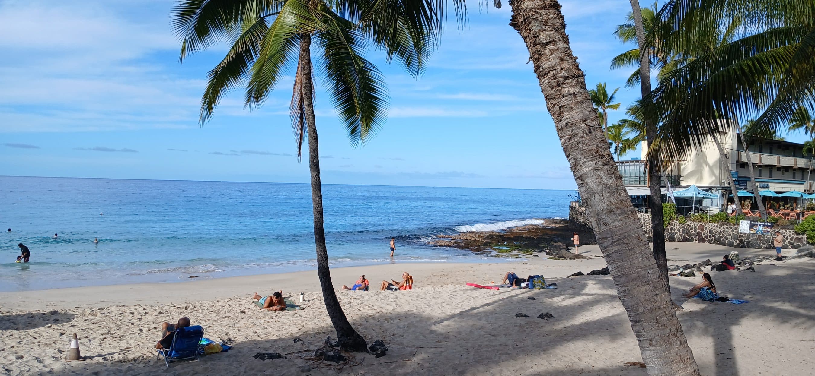 Sunny tropical beach with palm trees, sunbathers on the sand, and people swimming near the gentle waves.