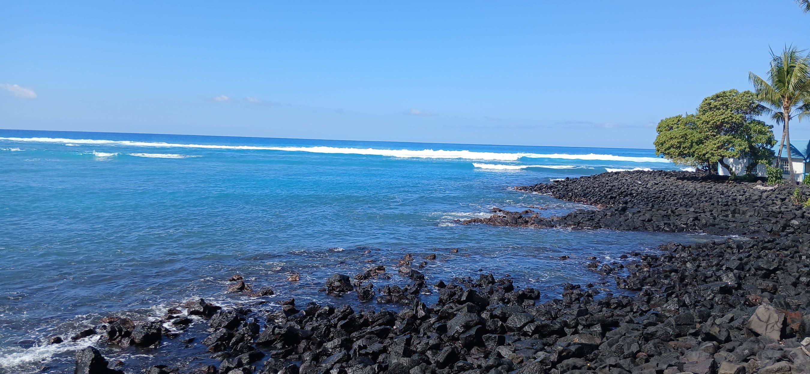 Rocky lava-coastline with turquoise water, gentle waves, and palm trees near a small house on the right under a clear blue sky.