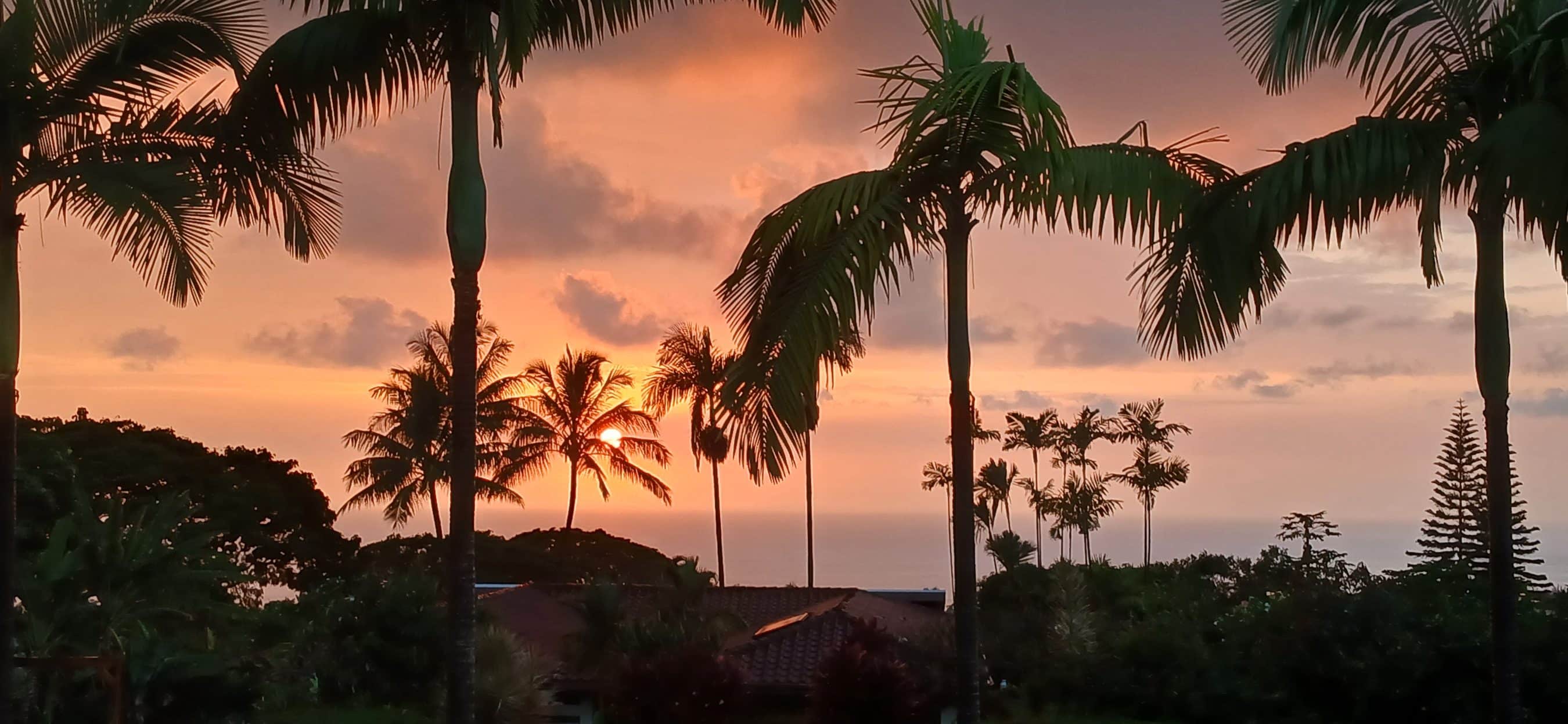 Sunset over a tropical landscape with silhouetted palm trees and the ocean in the distance.