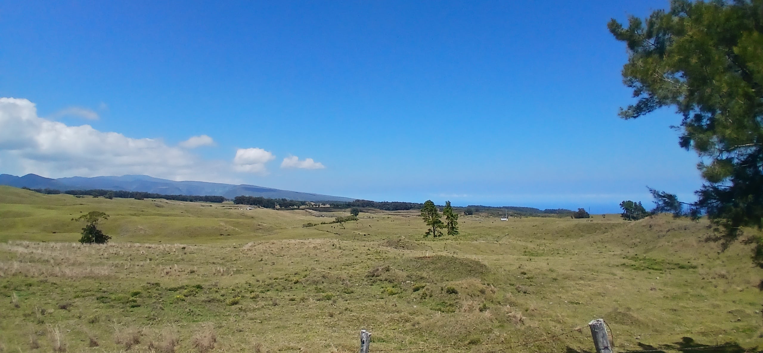 Wide open rural landscape with rolling fields, a few trees, and distant hills under a bright blue sky; fence posts in the foreground.
