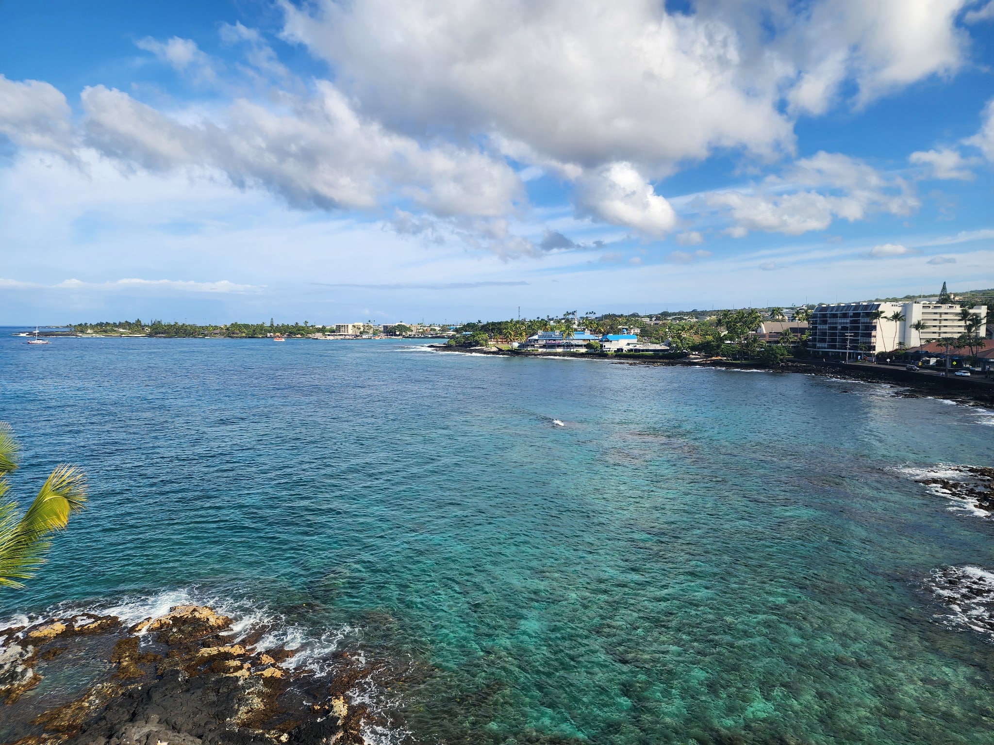 Coastal scene with rocky foreground, turquoise water, and a row of buildings and palm trees along the shoreline beneath a blue sky with clouds.