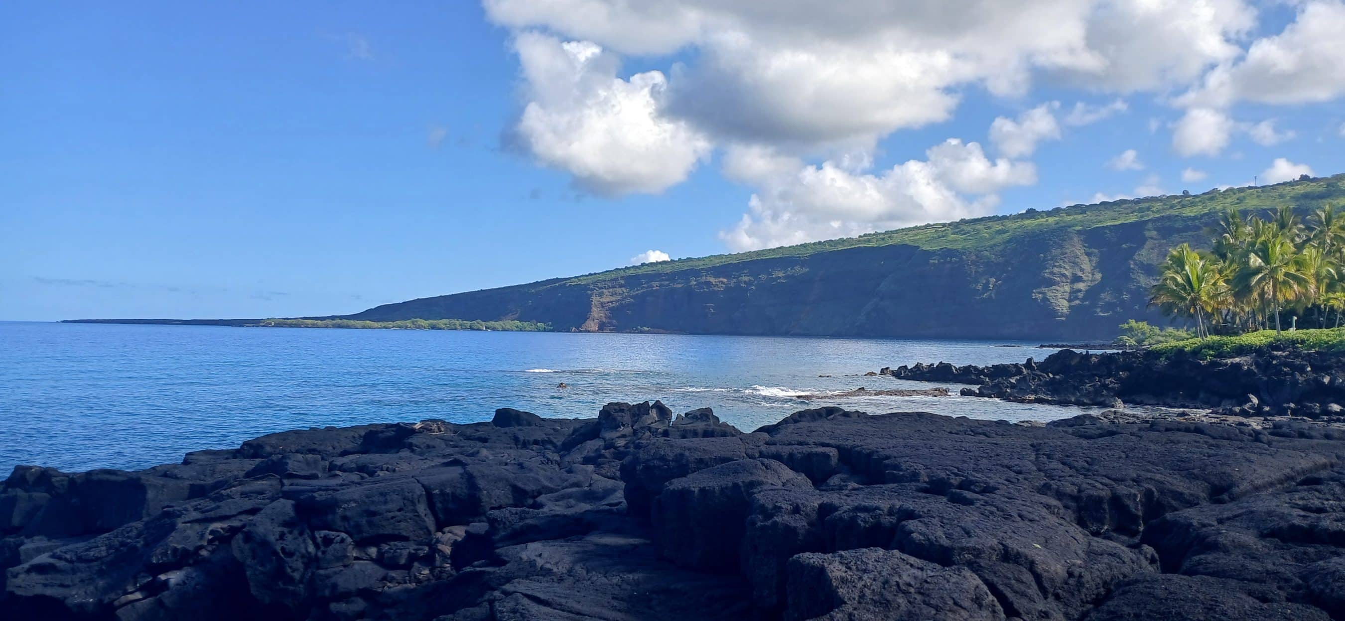 Coastal scene with dark volcanic rocks in the foreground, blue ocean, and green hillside with palm trees under a cloudy sky.
