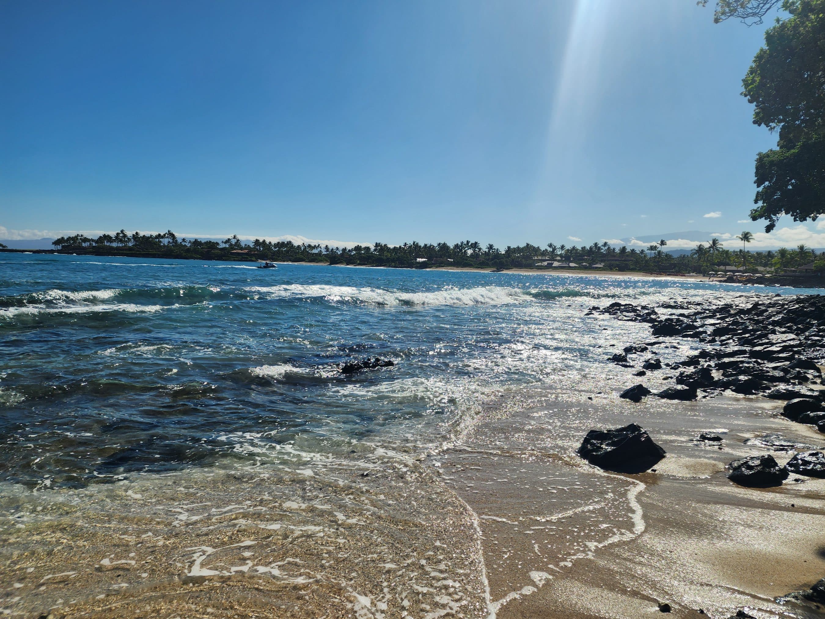 Tropical beach scene with palm-lined shore, blue ocean, and foamy waves on a rocky foreground.