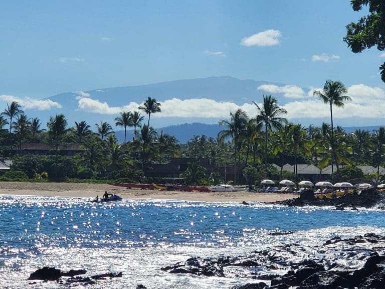 Beach scene with palm trees along the shore, calm blue water, and distant mountains under a clear sky.