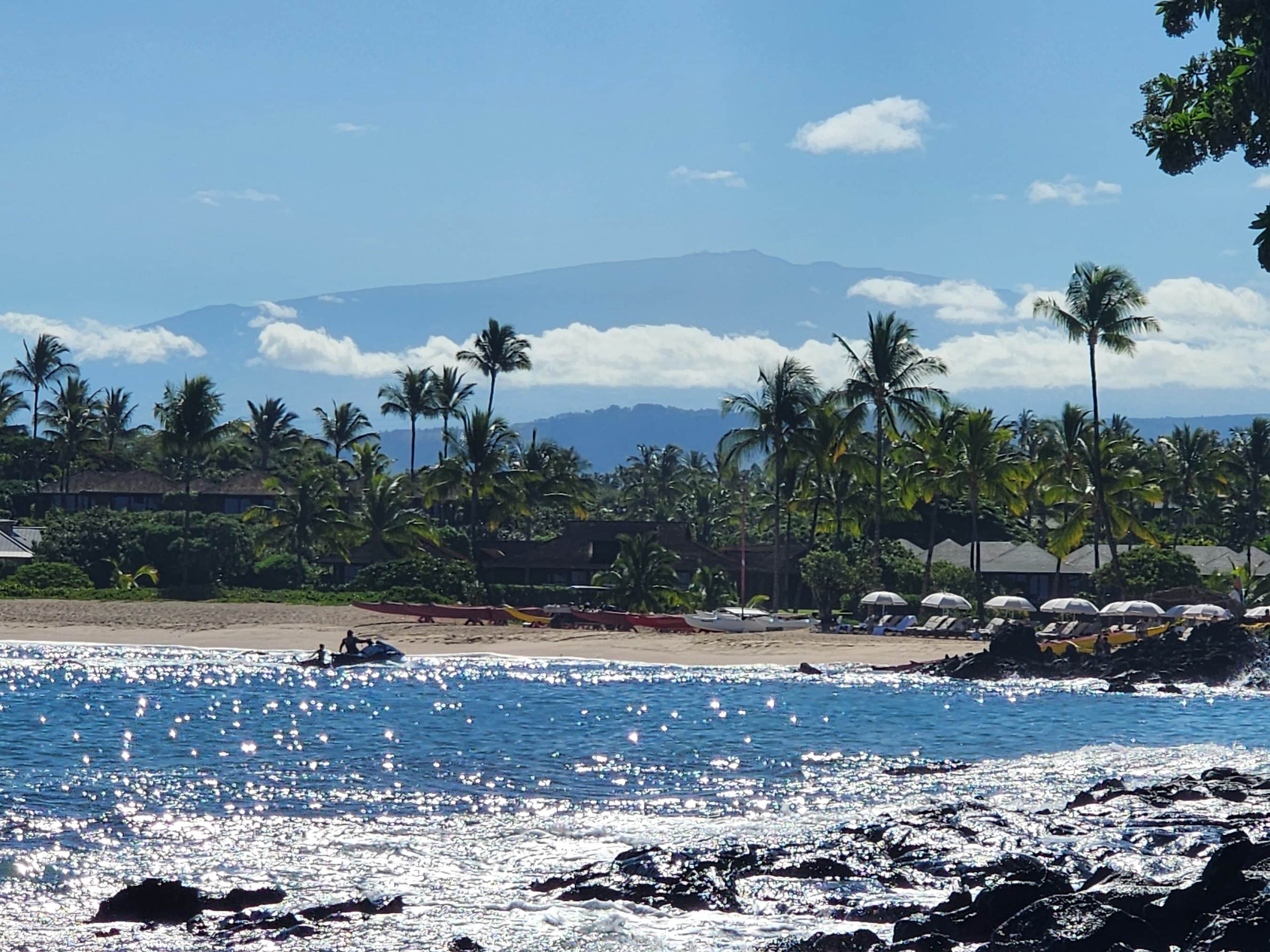 Beach scene with palm trees along the shore, calm blue water, and distant mountains under a clear sky.